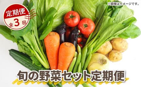 野菜[ 全3回定期便 ]詰め合わせ 産地 直送 10〜14種 減農薬 | 野菜野菜野菜野菜野菜野菜