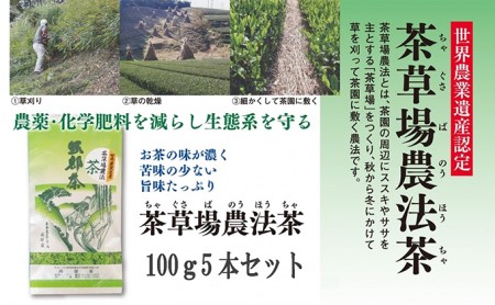 お茶 深蒸し茶 100g × 5本 セット