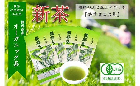 2023年度産『新茶』若葉の香りのオーガニック茶4本(新茶オーガニック ...