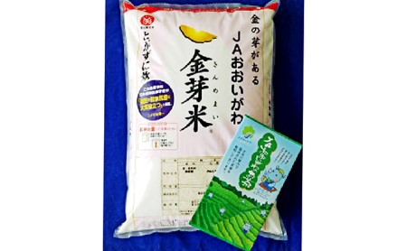 お米 金芽米 5kg お茶 80g セット きぬむすめ 無洗米 静岡県産 5キロ ( ごはん ご飯 精米 白米 食品 おこめ 糖質オフ お茶の葉 煎茶 静岡県 藤枝市人気無洗米 ふるさと納税無洗米 ふるさと無洗米 furusato無洗米 おすすめ無洗米 送料無料無洗米 )