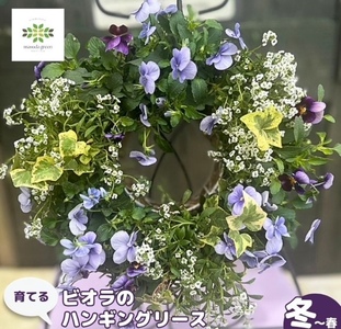 [オンライン決済限定] 花 育てる パンジー ビオラ ハンギング リース 寄せ植え 生花 自然 お花 植物 フラワー ギフト ガーデニング 飾り 庭 ベランダ 壁掛け 贈り物 おすすめ オススメ 静岡県 藤枝市