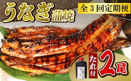 うなぎ 蒲焼 大姿焼き 2尾 140g×2 [全3回定期便] | 国産 蒲焼 鰻