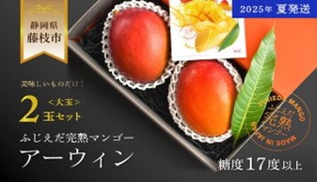 マンゴー 【2025 夏発送】 ふじえだ完熟 マンゴー「 アーウィン 大玉2玉」 | マンゴーマンゴーマンゴーマンゴー FN-SupportProject