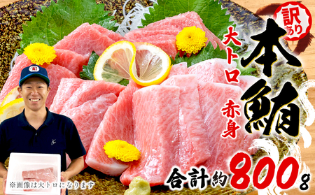 訳あり 本まぐろ 大とろ 赤身 セット 約 800g 不定型柵 鮪 まぐろ 大トロ 冷凍 鮪 漬け マグロ ユッケ 海鮮 本マグロ 本まぐろ 人気 まぐろ おいしい まぐろ 静岡 藤枝