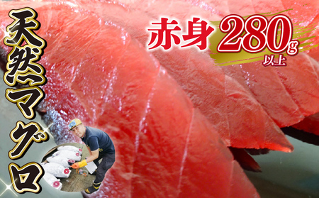 天然 マグロ 赤身 約 280g 以上 鮪 刺身 漬け 丼 魚 魚介 海鮮 静岡県 藤枝市