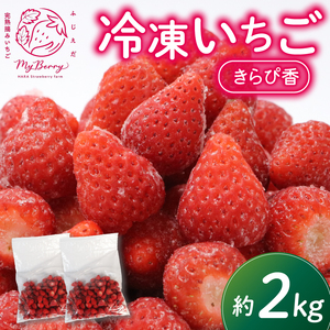 冷凍 いちご 約2kg きらぴ香 イチゴ イチゴ イチゴ イチゴ イチゴ