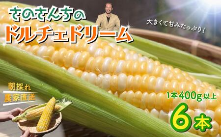 とうもろこし 6本入り ドルチェドリーム 先行予約 令和8年6月上旬頃発送