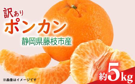 [先行予約:2026年1月下旬より発送] 訳あり みかん 5kg M〜2L ポンカン ミカン 果物 国産 フルーツ 柑橘 数量限定 静岡県産 蜜柑 大小 ミックス 不揃い ビタミン 美味しい 静岡県 藤枝市 ふるさと人気