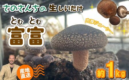 ys\F2025N11ȍ~z  xxiƂނƂށj1kg ̂ ő VC^P  W[V[ ̂ É }s lC  { S S JGAPFؔ_