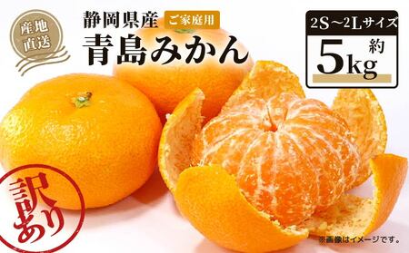 [2026年1月上旬〜順次発送] 訳あり 青島 みかん 5kg みかん