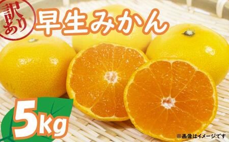 [2025年11月上旬〜順次発送] 訳あり 早生 みかん 5kg 早生みかん