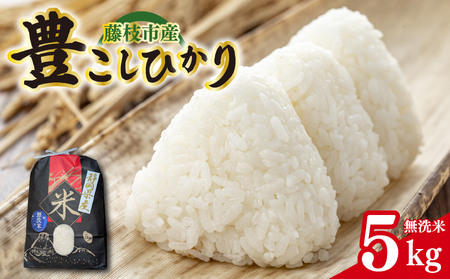 [令和7年産] 新米 豊こしひかり 無洗米 5kg