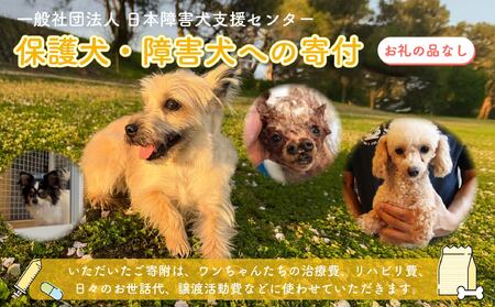 【返礼品なし】 障害犬 保護犬の支援 保護犬