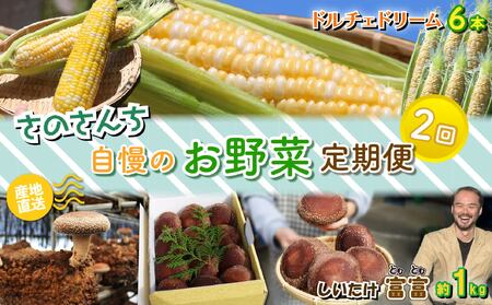 全2回 定期便 野菜 とうもろこし しいたけ 野菜 JGAP