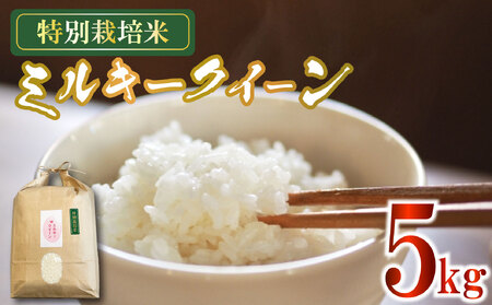 米 ミルキークイーン 5kg 農家直送 特別栽培米