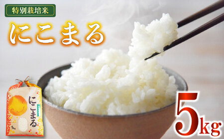 米 にこまる 5kg 農家直送 特別栽培米