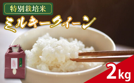 米 ミルキークイーン 2kg 農家直送 特別栽培米 お米 精米 静岡県 藤枝市