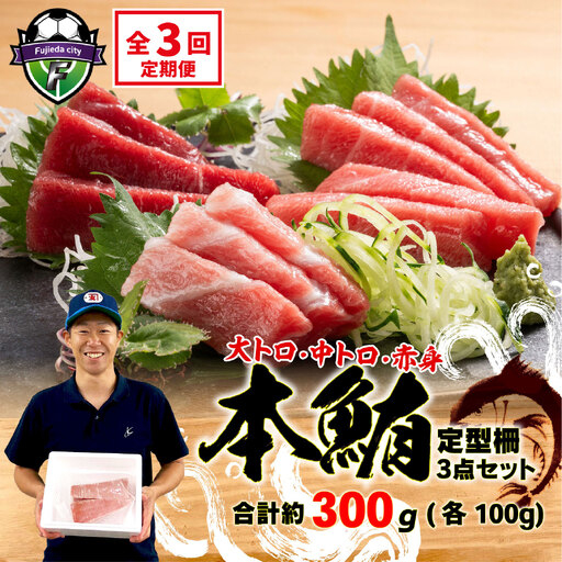 [3回定期便] マグロ 刺身 食べ比べ 大トロ 中トロ 赤身 約 300g