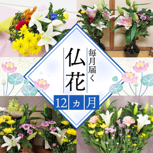 定期便 12回 仏花 お花 生花 組花 2束 ( 植物 インテリア ガーデニング お花 贈り物 フラワーギフト プレゼント 花飾り お供えのお花DX 御供 お供え用 お供え組花 お供えお花 お供え花 お供え定期便 お供え生花 仏花 )