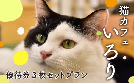 猫 カフェ 利用優待券 チケット 1時間分 × 3枚