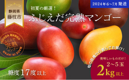 [2024年6月〜7月発送]マンゴー 完熟 2kg 糖度 17 以上 (厳選 フルーツ 果物 国産マンゴー 静岡マンゴー 完熟マンゴー マンゴーフルーツ トロピカルフルーツ フルーツ 果物類 果物類 マンゴー果物類)