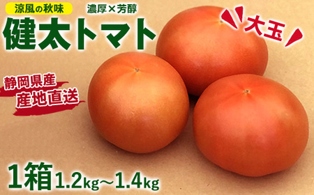 [先行受付]涼風の秋味 健太トマト 約1.2kg〜1.4kg×1箱 | 大玉トマト トマト とまと 甘い 野菜 やさい リコピン ヘルシー 新鮮 産地直送 ※2024年9月下旬頃〜10月下旬頃に順次発送予定