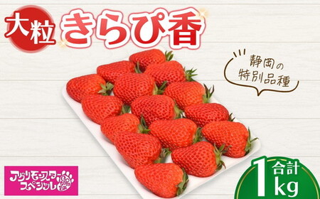 大粒 きらぴ香 静岡の特別品種 500g×トレー2枚 計1kg | いちご 苺 果物 静岡県 ※2026年1月上旬〜4月中旬頃に順次発送予定 ※北海道・沖縄・離島への配送不可