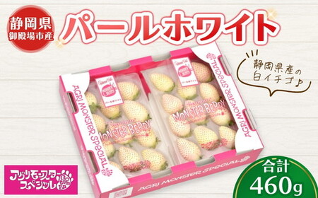 甘い白イチゴ パールホワイト 230g×トレー2枚 計460g | いちご 苺 果物 静岡県 ※2026年1月上旬〜4月中旬頃に順次発送予定 ※北海道・沖縄・離島への配送不可