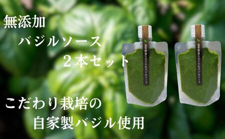 温室野菜 sano 生バジルソース2本セット