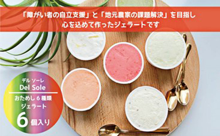 デルソーレ ジェラート★大人気!旬の6種詰め合せ★(6個入り)セット 袋井市