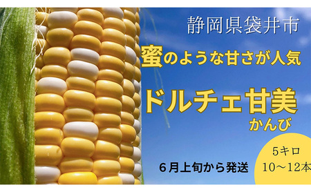 [ 先行予約 ]リピーター続出! とうもろこし [ ドルチェ甘美 ]約5kg 10〜12本 トウモロコシ 甘い 野菜 採れたて 朝採り 農家直送 袋井市 静岡県