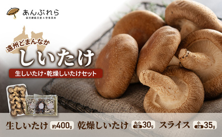 [遠州どまんなかしいたけ] 生しいたけ・乾燥しいたけセット (生しいたけ 約400g , 乾燥しいたけ 丸小 30g1袋 , スライス 小35g2袋) 干し椎茸 産地直送 国産 料理 素材 出汁 日本料理 就労支援 福祉 静岡 袋井