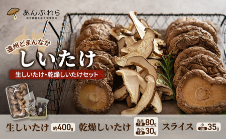 yBǂ܂Ȃz EZbg ( 400g , @ۑ 80g1 ۏ 30g1 , XCX 35g2)@ő Yn Y  f o` {