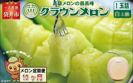 【10ヶ月定期便】クラウンメロン（白上級）1玉入 メロン デザート グルメ 果物 フルーツ 季節の果物 スイーツ 袋井市 静岡県