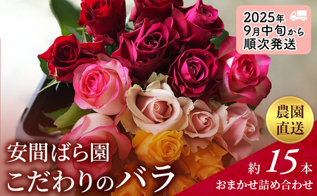 [2025年9月中旬から順次発送]安間ばら園 こだわりの バラ おまかせ詰め合わせ約15本入 クール便 花 ギフト 誕生日 記念日 花束 プレゼント バラ フラワーギフト