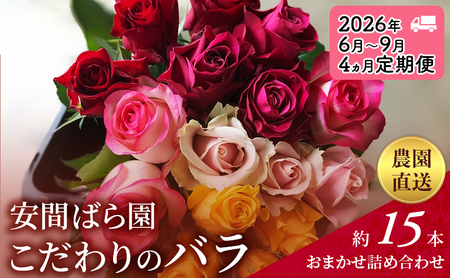 [2026年6月〜9月定期便]安間ばら園 こだわりの バラ おまかせ詰め合わせ約15本 4か月定期便 花 ギフト 誕生日 記念日 花束 プレゼント バラ フラワーギフト