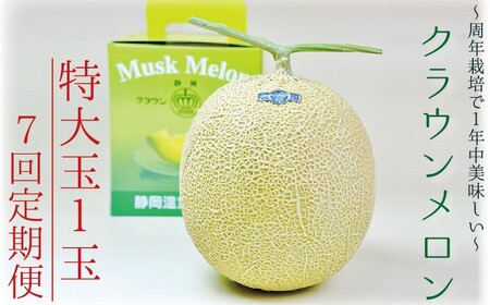 y7ցzNEijʁ@1ʓ @ʕ t[c fU[g  }XN   Mtg 蕨 ÉY ܈s