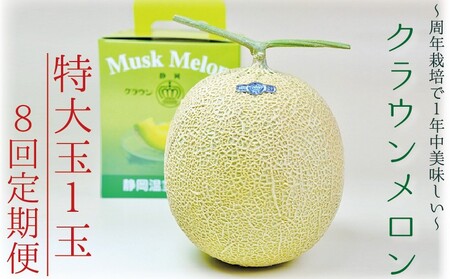 y8ցzNEijʁ@1ʓ @ʕ t[c fU[g  }XN   Mtg 蕨 ÉY ܈s