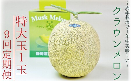 y9ցzNEijʁ@1ʓ @ʕ t[c fU[g  }XN   Mtg 蕨 ÉY ܈s