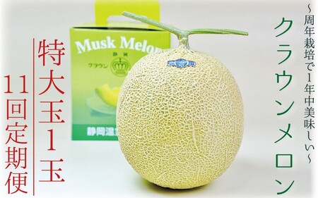 y11ցzNEijʁ@1ʓ @ʕ t[c fU[g  }XN   Mtg 蕨 ÉY ܈s