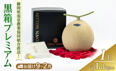 黒箱プレミアム (冬9〜2月) 果物 メロン 青肉 フルーツ デザート 高級メロン ブランドメロン 袋井市 静岡県