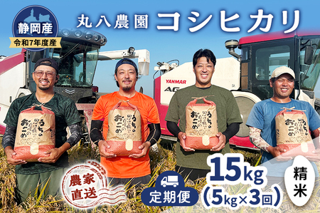 お米 (定期便3回)令和7年度産静岡県産コシヒカリ精米5kg×3 計15kg 米 コメ こしひかり コシヒカリ 精米 白米 定期便 袋井市 静岡県
