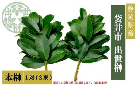 袋井市 出世榊 本榊 純国産 1対(2束)※15日交換に間に合うように配送 榊 さかき サカキ 神棚 お供え 国内産 日持ち 大きい 艶やか 静岡県