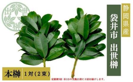 袋井市 出世榊 本榊 純国産 1対(2束)定期便3ヶ月※1日交換に間に合うように配送 榊 さかき サカキ 神棚 お供え 国内産 日持ち 大きい 艶やか 静岡県