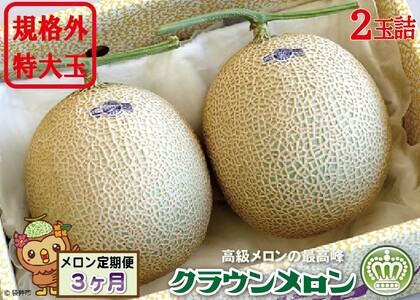 [3ヶ月定期便]クラウンメロン 規格外特大玉(約1.7kg)2玉入