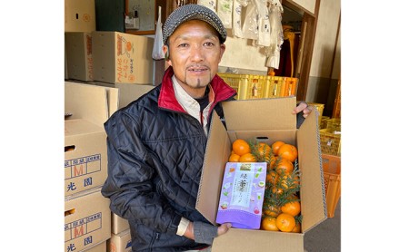 こたつみかん 静岡セット(お茶とワケありみかん約5kg)[配達不可地域あり]