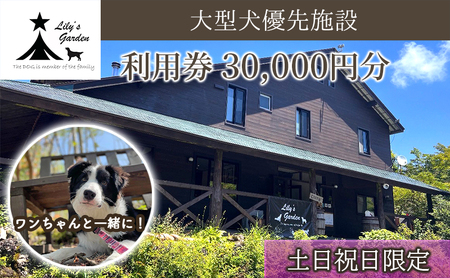 【土日祝日限定】 Lily's Garden 利用券 30,000円分 ペットと泊まれる 犬 大型犬 犬好き ペット わんこ 裾野 裾野市 静岡 伊豆 宿泊券 自然 旅行 観光