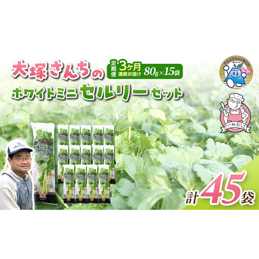 定期便 3回 ホワイトミニセルリー 15袋  計45袋 野菜 詰め合わせ 毎月届く 3ヶ月 セロリ ミニセロリ 新鮮 産地直送 サラダ 野菜セット 詰合せ