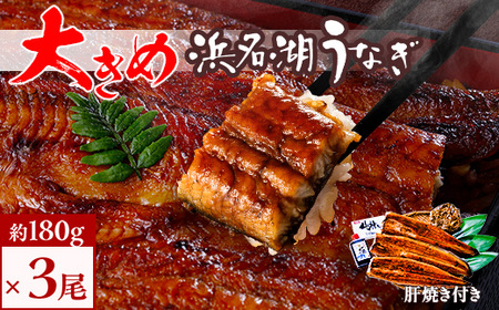 HiYsgp̕l΂Ȃ@3(180g×3)傫ȂȂŎmmł!̏Ăt_Ȃ V lΎY HiYsgp ̏Ă_yzsnFzy1472434z