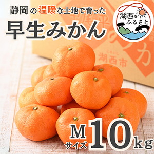 ystzy11{菇oח\z݂10kg MTCYkؔ_l_ʕEt[c ݂  ~J _y1510127z